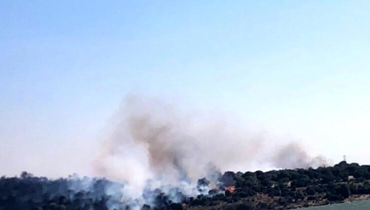 Aliağa’da makilik ve otluk alanda çıkan yangın havadan ve karadan söndürüldü