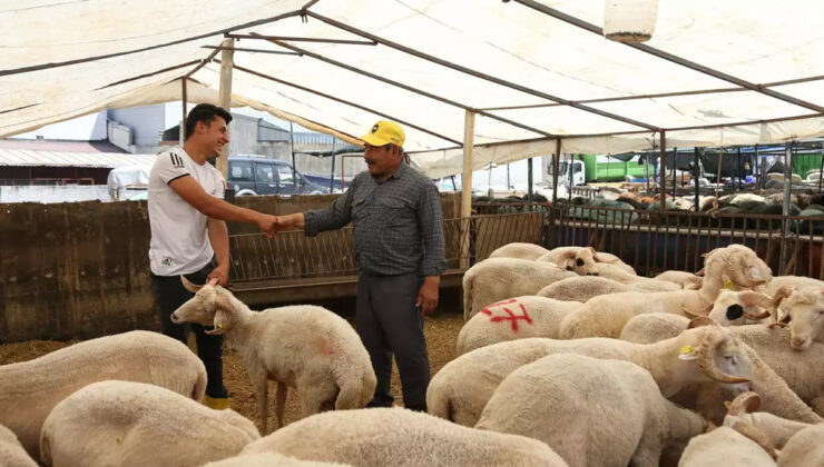Bornova’da Bayram Hazırlıkları Devam Ediyor!