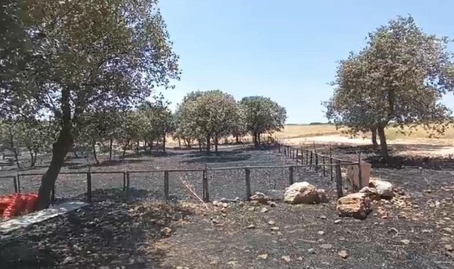 Dicle Elektrik Açıkladı: Yangınla İlgili Manipülasyon Devam Ediyor