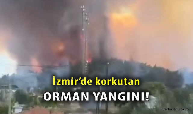 Gümüldür’de Orman Yangını: İtfaiye Ekipleri Bölgeye Sevk Edildi