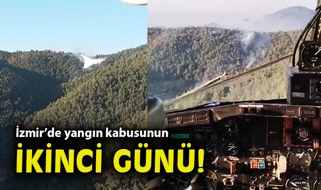 İzmir’de Orman Yangınlarına Gece Gündüz Mücadele
