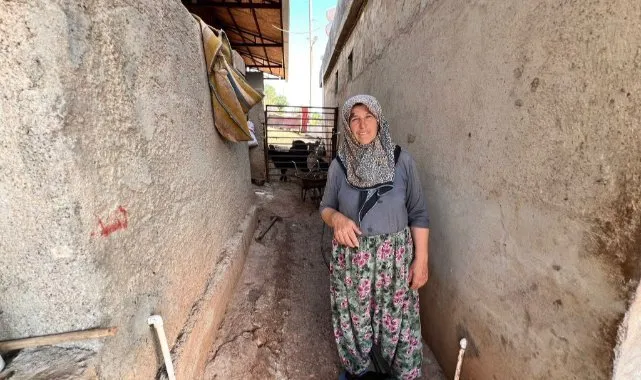 Maraşlı Büyükannelerden Lezzet Durağı: Peynir ve Kurbanlık Sütü!