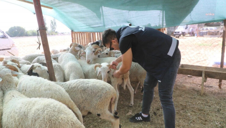 Menderes Belediyesi Kurban Bayramı Öncesi Sıkı Denetimde