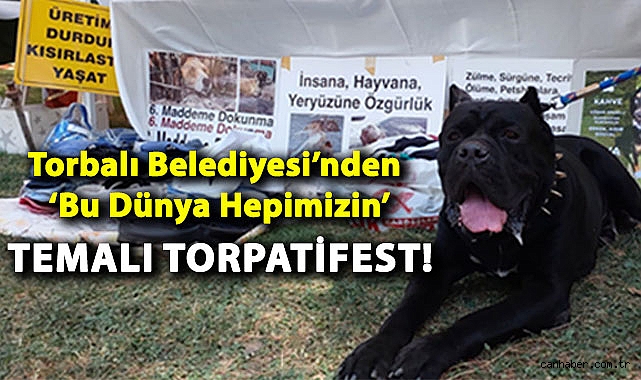 TorPatiFest: Eğlence ve Bilinç Bir Arada!