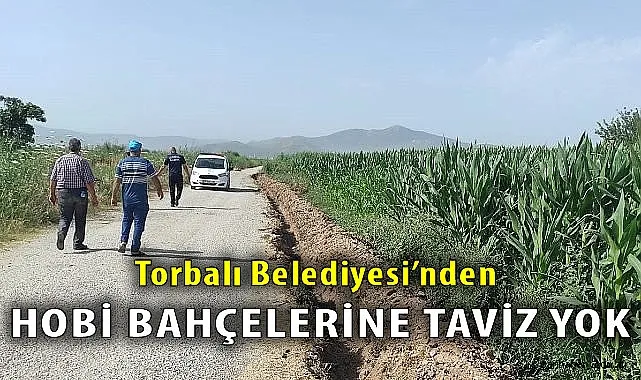 Tarım Arazi Yok Ediliyor! Hobi Bahçelerine Sıkı Denetim