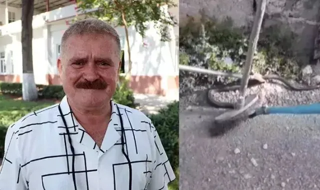 Çukurova’da Kavurucu Sıcaklar: Yılan Isırma Vakaları Artıyor