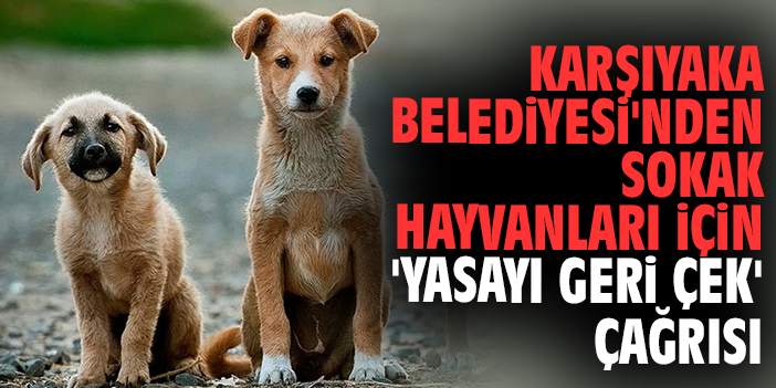Karşıyaka Belediyesi Sokak Hayvanları Yasasına Karşı Çıkıyor. #YasayıGeriÇek