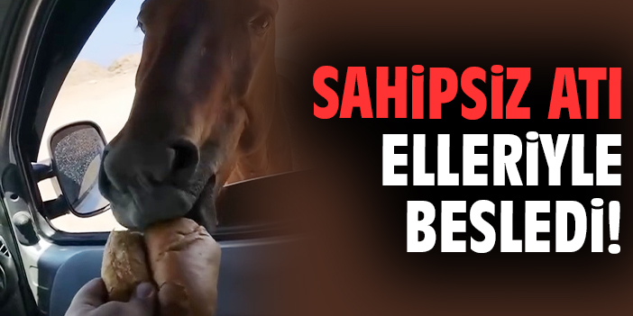 Seferihisar’da sahipsiz atı besleyen vatandaşını görenler takdir etti.