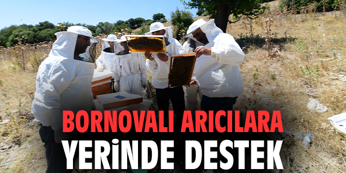 Bornova Belediyesi Arıcılık Kurslarıyla Dikkat Çekiyor
