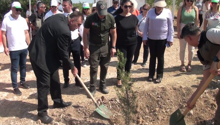 15 Temmuz Şehitleri İçin Hatıra Ormanı Oluşturuldu