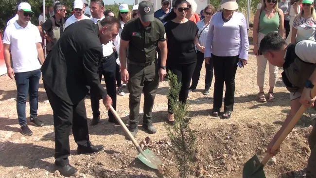 15 Temmuz Şehitleri İçin Hatıra Ormanı Oluşturuldu