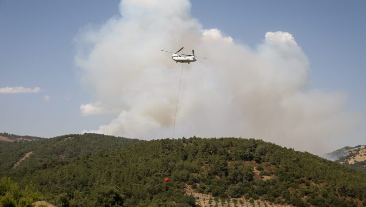 Bornova’da korkutan orman yangını: