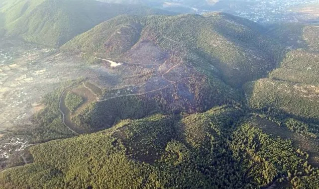 Bodrum’da Orman Yangını! 500 Personel Müdahale Etti