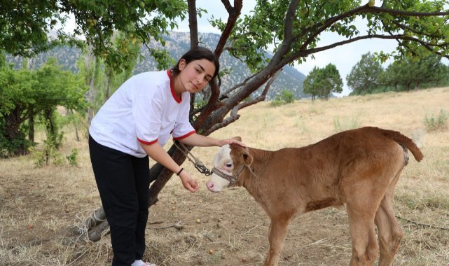 Zeynep Kaytancı: Okul ve Çobanlıkla İlçe Birincisi