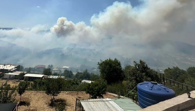 İzmir ve Balıkesir’de Orman Yangını Biçare Koşu