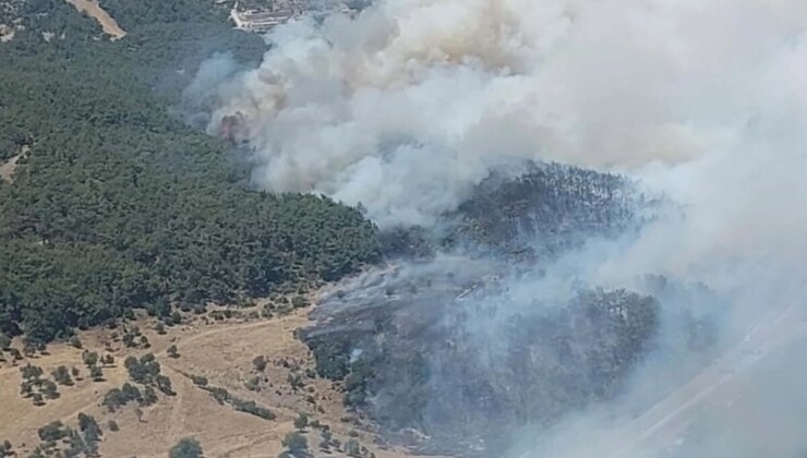 İzmir Bornova Orman Yangınına Müdahale Başladı