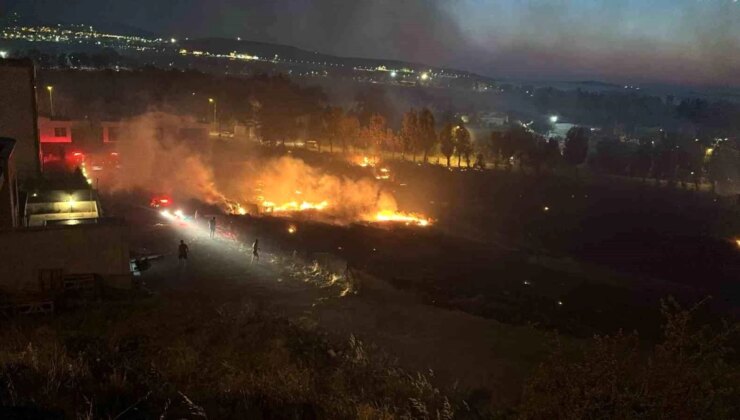 Aliağa’da Otluk Alanda Çıkan Yangın Kontrol Altına Alındı