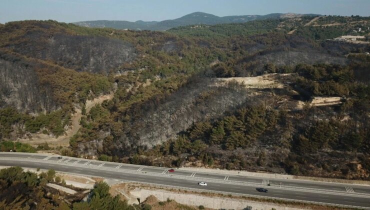 Bornova’da devam eden yangına havadan müdahale başladı