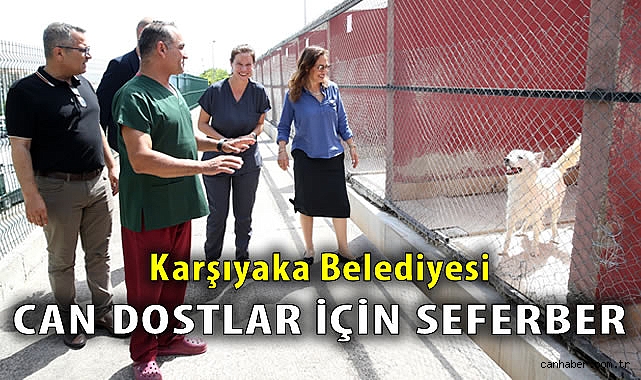 Karşıyaka Belediyesi’nden Hayvan Dostu Projeler!
