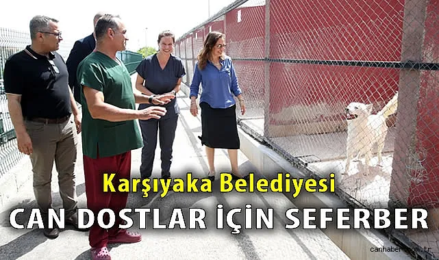 Karşıyaka Belediyesi’nden Hayvan Dostu Projeler!