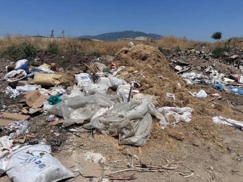 Kemalpaşa’da Çevre Katliamı: Vatandaşlar İsyan Etti