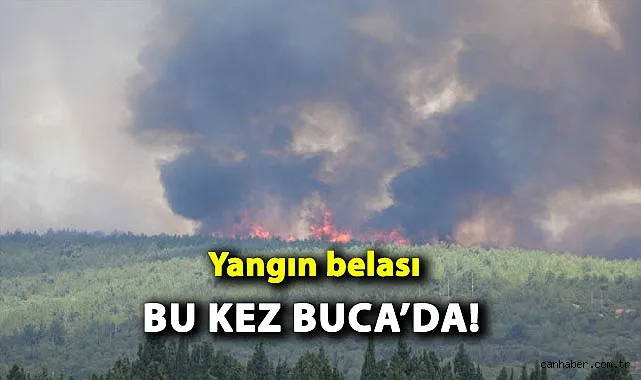 Gaziemir ve Buca’da Orman Yangını Hava Trafiğini Etkiledi