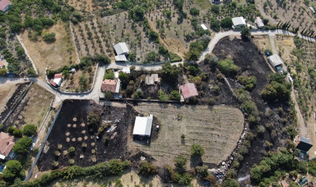 İzmir’de Orman Yangını: Havadan ve Karadan Müdahale Edildi