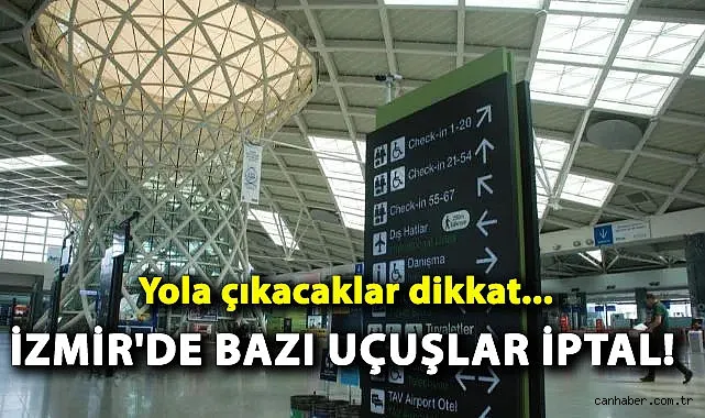 Zafer Mahallesi’nde Orman Yangını!
