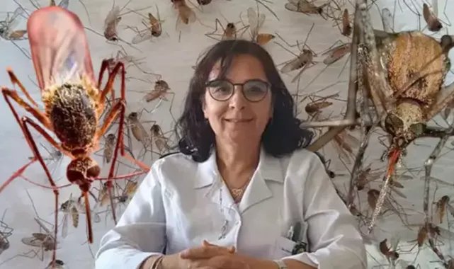 Batı Nil Virüsü Marmara Bölgesinde Yeniden Ortaya Çıktı