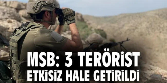 Türk Silahlı Kuvvetleri’nden Terörist Vurumu!