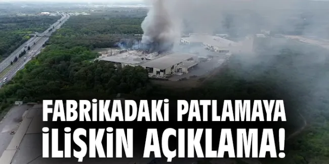 Hendek’teki Fabrika Patlamasında 12 Yaralı!