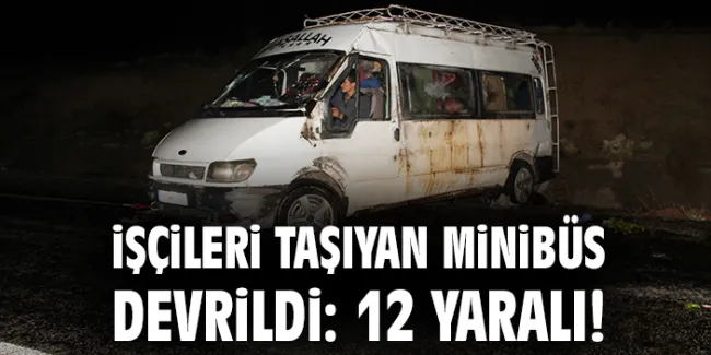 Yolda Duran Minibüs: 12 Yaralı, Hayvanlar Kurtarıldı!