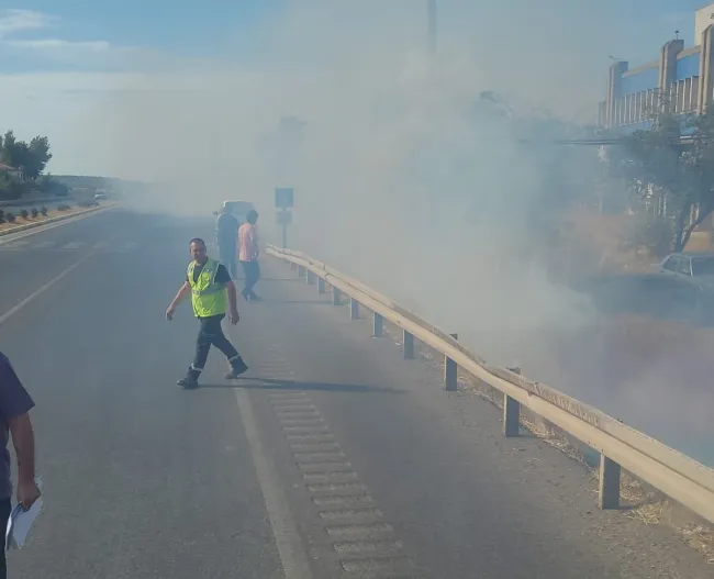 Ayvalık’ta Yangın, Ekipler Hızla Müdahale Etti