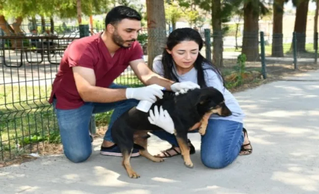 Çiğli Belediyesi’nden Hayvanlara Yeni Bir Şans!