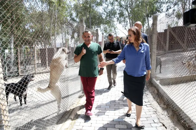Karşıyaka Belediyesi yeni hayvan barınağı için düğmeye bastı