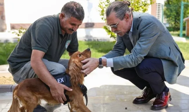 Etimesgut’ta ilk sokak köpeği ataması yapıldı