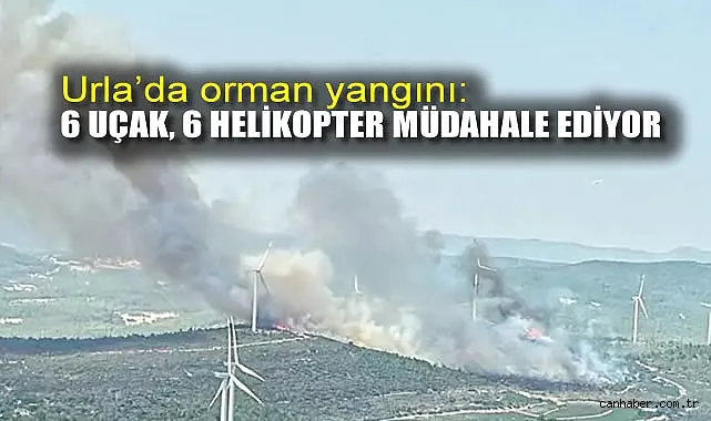 İzmir’de Orman Yangınına Yoğun Müdahale