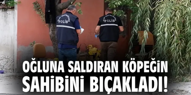 Baba, Köpek Saldırısına Çıkan Sahibine Saldırdı!