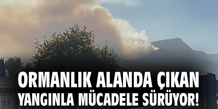 Karcı Dağı’ndaki Yangın İki Gün Sonra Devam Ediyor!