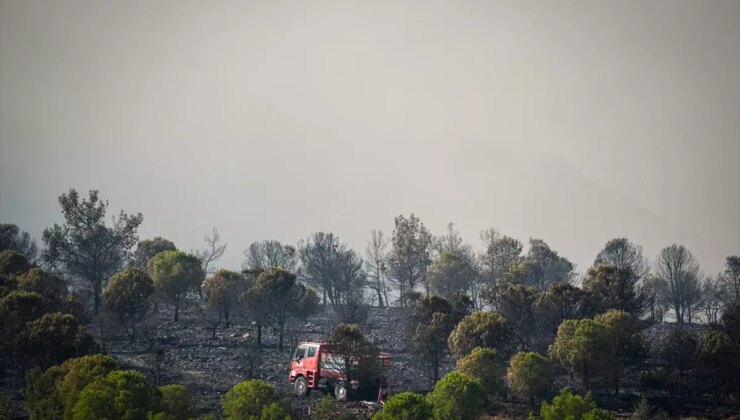 Foça’da Çöplük Yangını Kontrol Altına Alındı