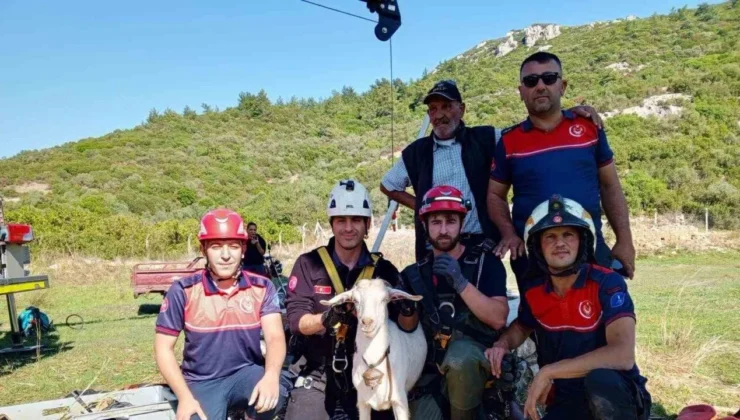 İzmir İtfaiyesi’nden Yürek Isıtan Kurtarma!