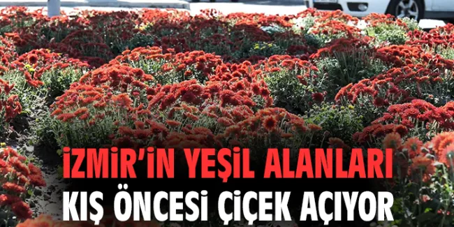 İzmir Kış Bitkileriyle Estetik Kazanıyor!