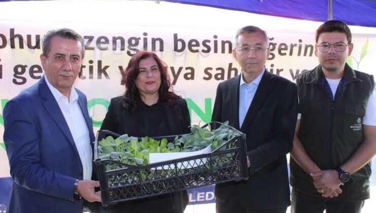 Aydın’da Zeytin Üreticilerine Destek Sürecek!