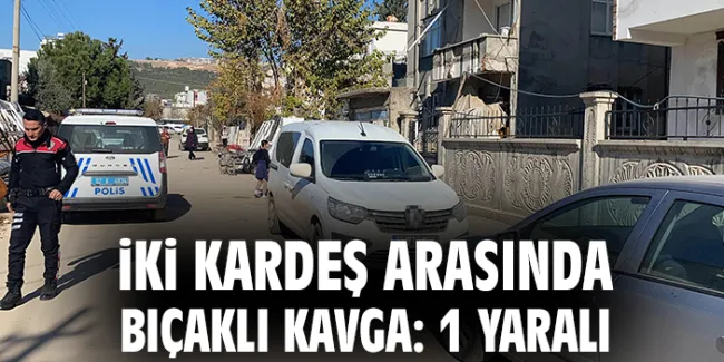 Kardeşler Arasında Bıçaklı Kavga: 1 Yaralı!