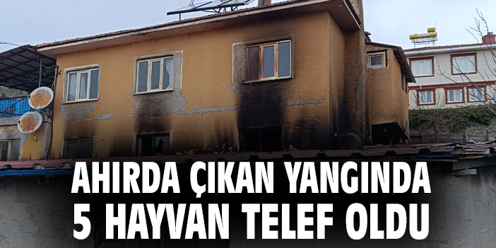 Aktaş Köyü’nde Ahırda Yangın: 5 Hayvan Telef!