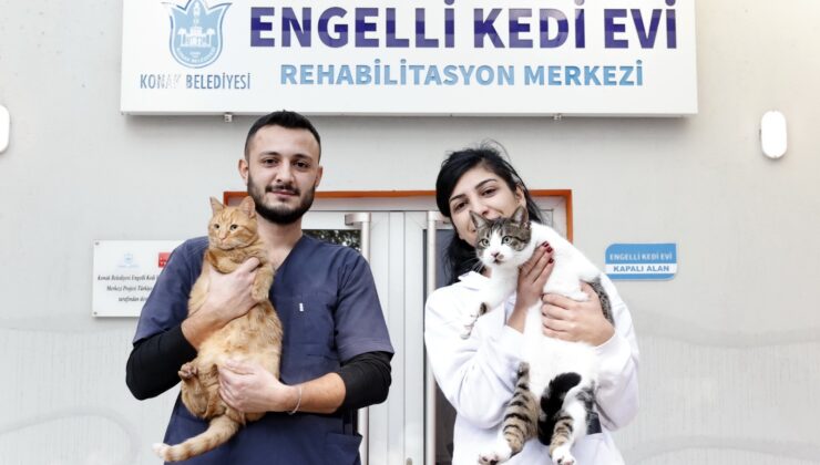 Konak’ın engelleri aşan Kedi Evi’nden sahiplenme çağrısı