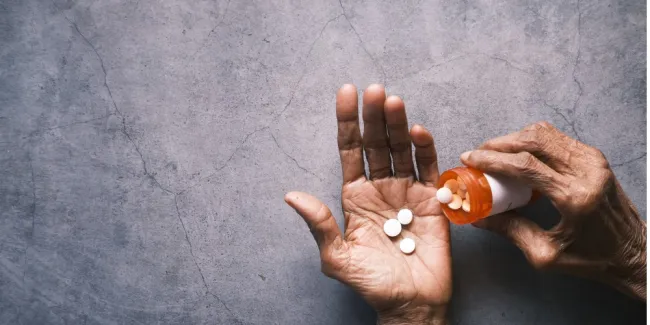 Kronik Hastalıklara Bütüncül Bakış Semineri