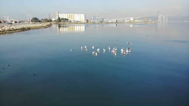 İzmir Körfezi’nde Temizlik Sevinci: Renkler Geri Döndü!