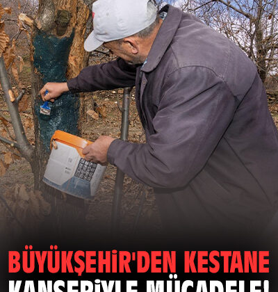Kestane Kanseriyle Mücadelede İzmir’den Destek