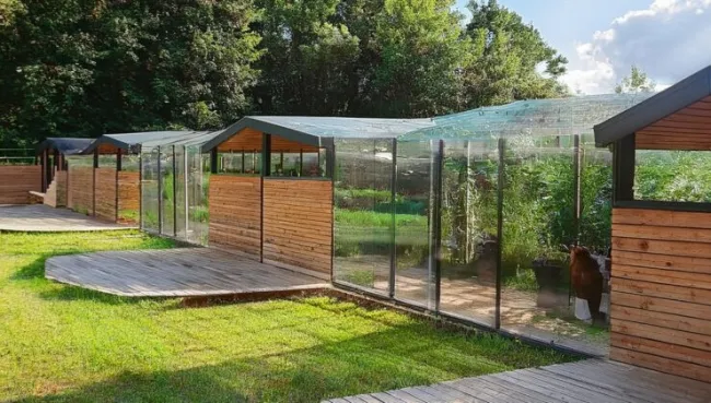 Karşıyaka’nın yeni hayvan yaşam merkezi Türkiye’ye örnek olacak